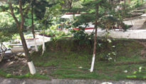 school