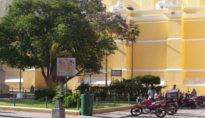 school